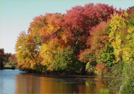 Mumford River in Autumn