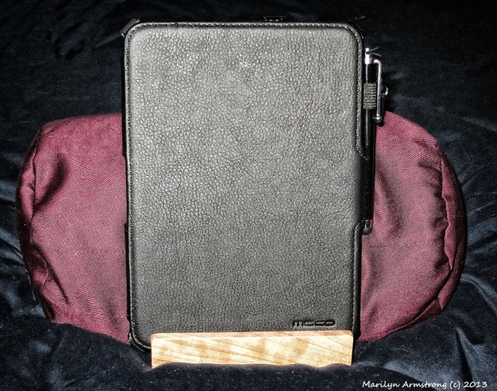 Bamboosa with closed Kindle HD in its hard case.