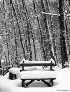 72-BW-Bench-In-Snow-001
