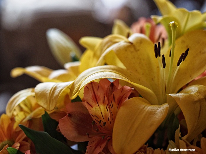 72-yellow-bouquet-112215_20