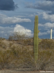 72-Cactus and transmitter-MAR-Phoenix-Mountains-Afternoon-01062015_063
