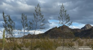 72-Clean-newer-MAR-Phoenix-Mountains-Afternoon-01062015_081