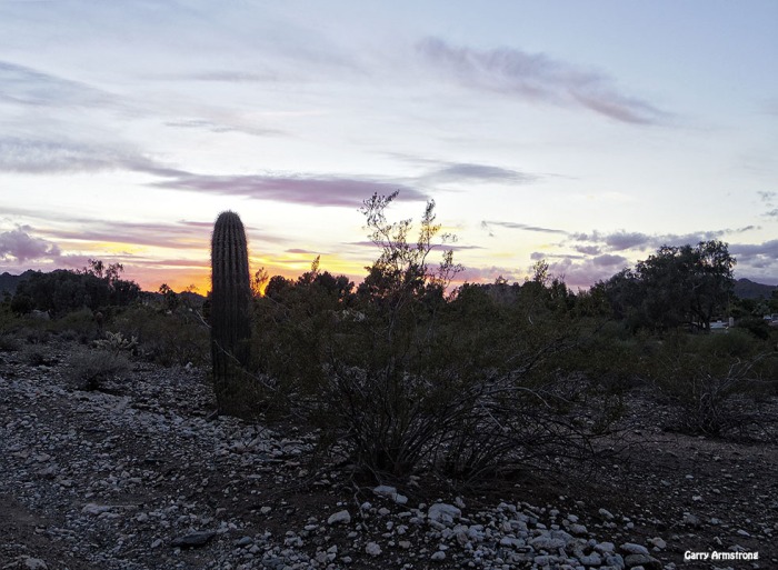 72-GAR-Sunset-Phoenix-Cactus-01062015_215