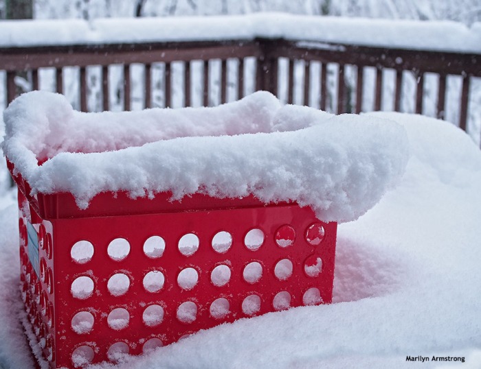 72-red-basket-snow-020516_34
