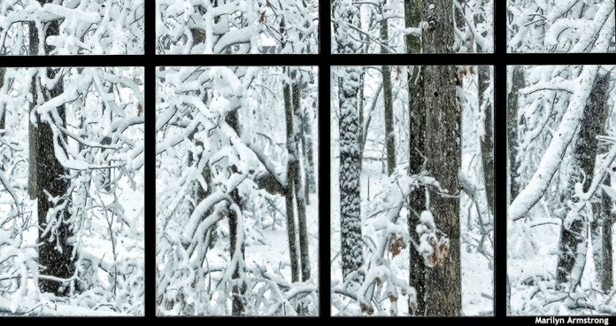 72-Window-Snow-020516_41