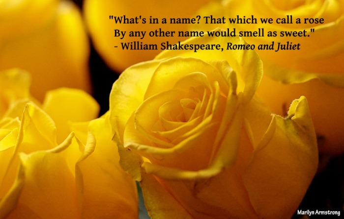 What is William Shakespeare's middle name?