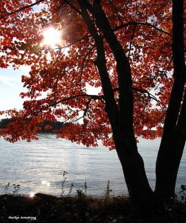 Autumn at the lake in Webster
