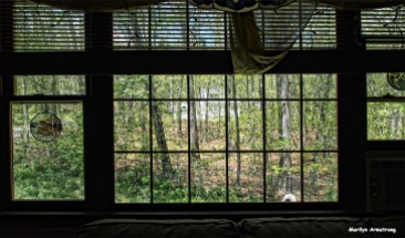 72-picture-window-at-home-071916_12