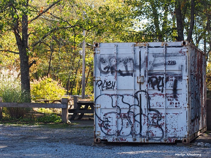 Graffiti on the bin in the park