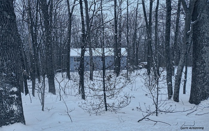 Our house from the road through the trees and snow