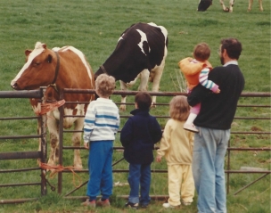 The kids and the cows