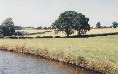 canal - field
