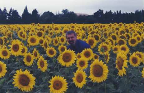 Larry in field of Provencal sunflowers, 1996