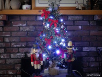180-Glow-Christmas-Tree-New-Lights-300-12152017_034