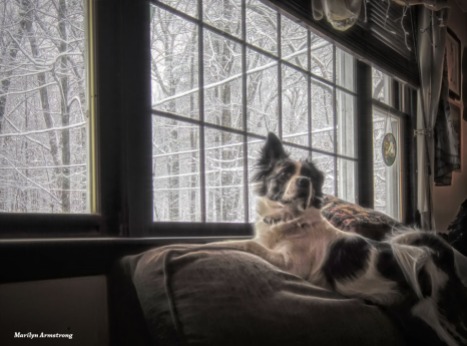300-Duke-Snow-Picture-Window-12092017_16