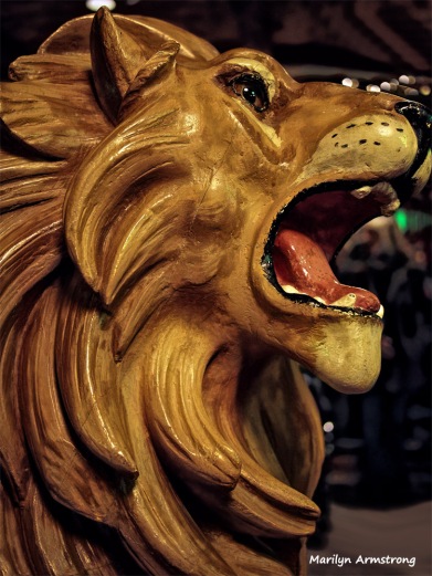 Lion - Roar!