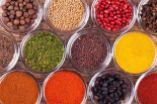 spices middle east