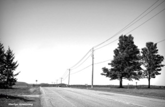 180-bw-road-through-cooperstown-ma_140