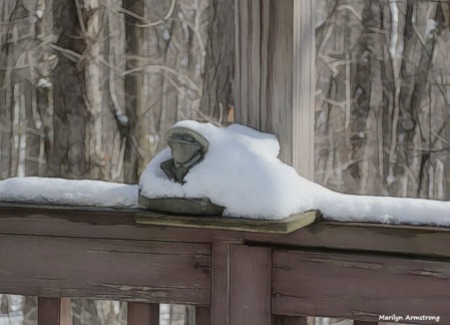 Snowy frog on the deck