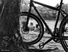 180-BW-Bicycle-Wheel-Amherst-May-GA_052015_026