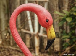 Garry put Fred Flamingo back up in the garden