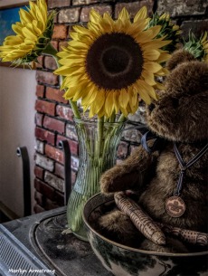 300-HDR-Sunflowers-05042018_006