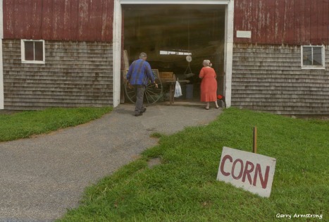180-Barn-Ben-Marilyn-Corn-Farm-GAR-170818_138
