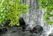 180-Tree-Falls-Manchaug-Rocks-MAR-22092018_2012