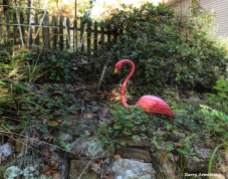 180-Flamingo-Foiliage-Home-GAR-25102018_219