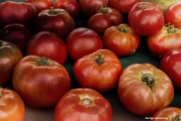 180-Tomatoes-MAR-170818_095