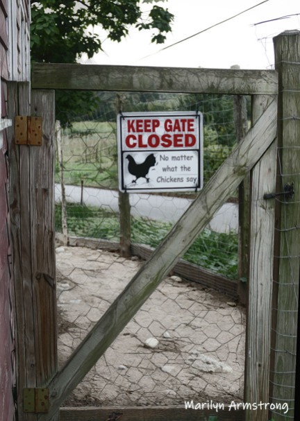 180-Chicken-Gate-MAR-Farm-Sept-09262019_037