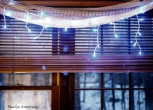 300-lighted-window-christmas-tree-12-10-20191209_107